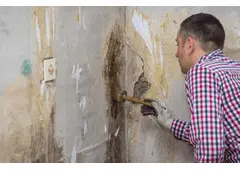 Mold Mitigation Services In Vancouver, WA
