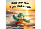 Do you Need a Cruise?